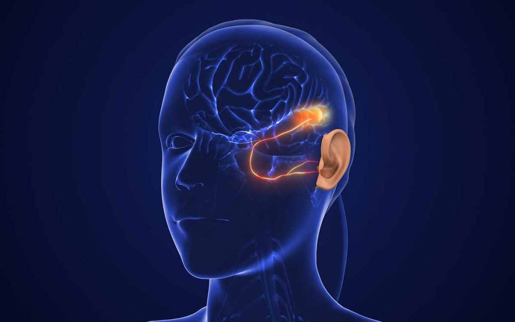 A digital illustration of a human head in profile, showing the brain and highlighted neural pathways connecting the eye and ear, representing neural communication or sensory processing.